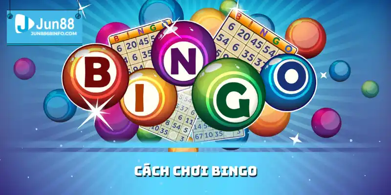 Cách chơi Bingo
